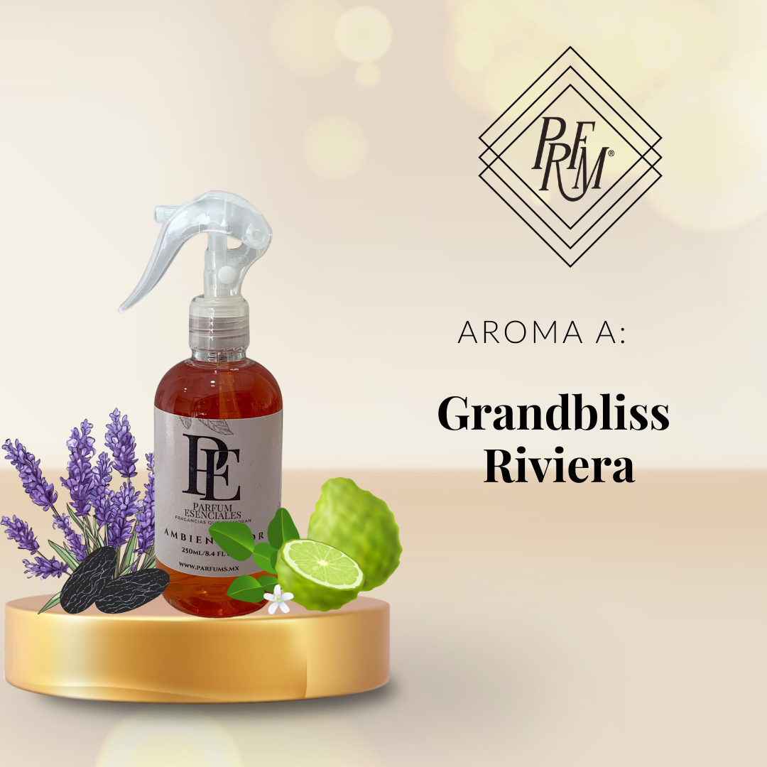 AMBIENTADOR GRANDBLISS RIVIERA